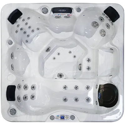 Avalon EC-849L hot tubs for sale in Bowling Green