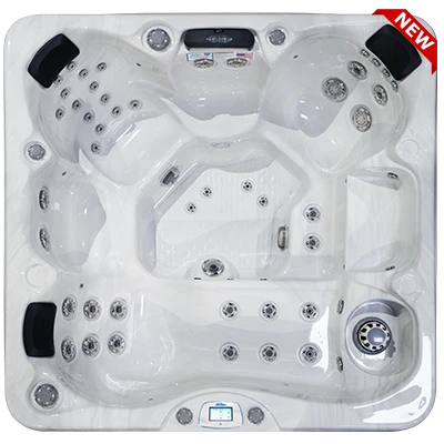 Avalon-X EC-849LX hot tubs for sale in Bowling Green